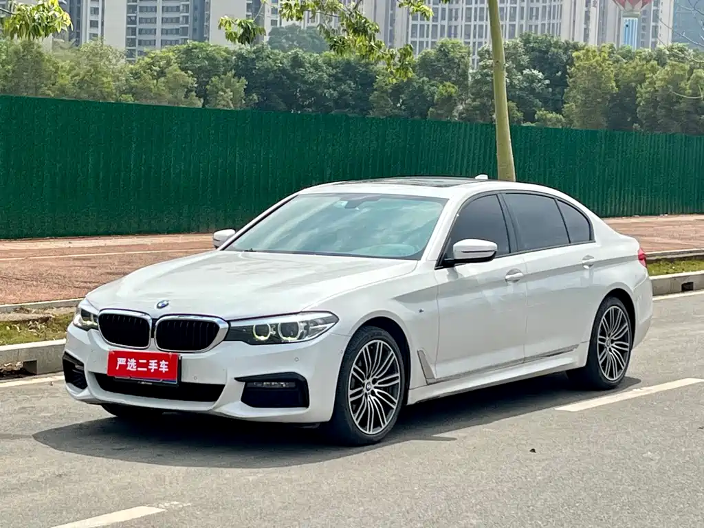 BMW 5 Series 2019