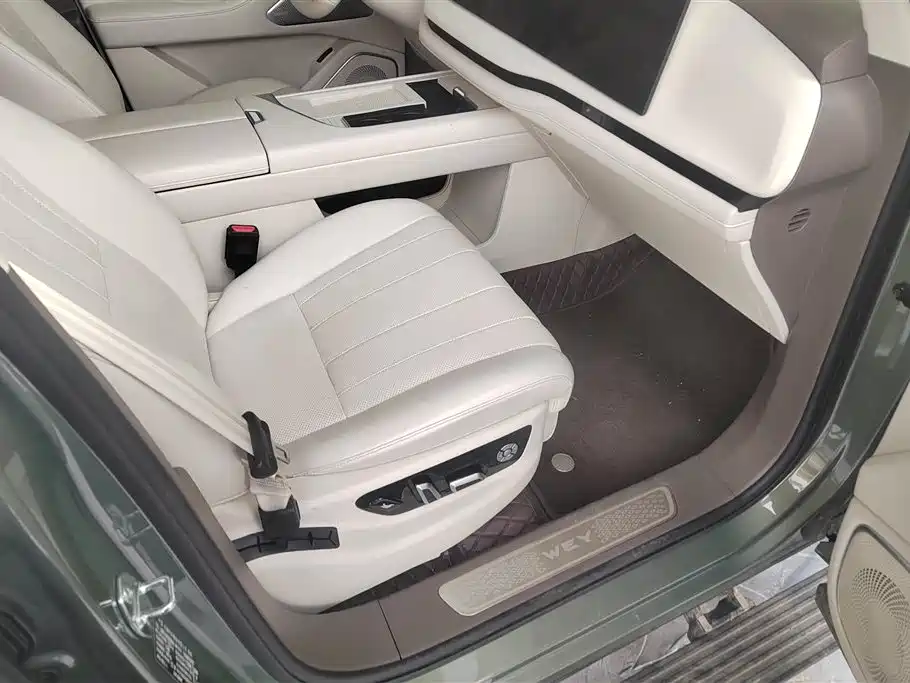 WEI PAI WEI BRAND BLUE MOUNTAIN