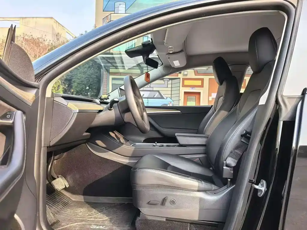 Tesla Model Y — миниатюра 5