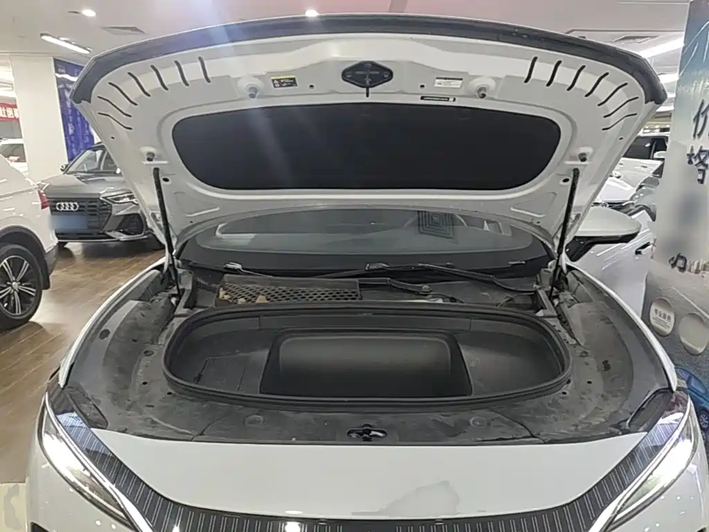 BYD L EV — миниатюра 20