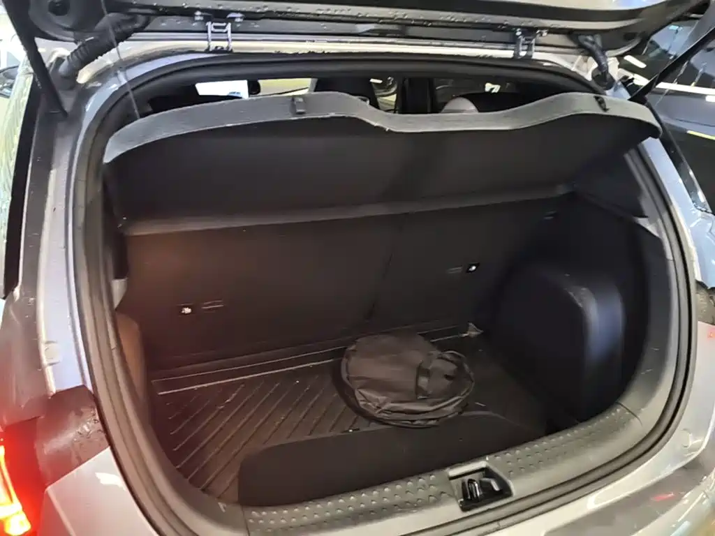 BYD Dolphin — миниатюра 19