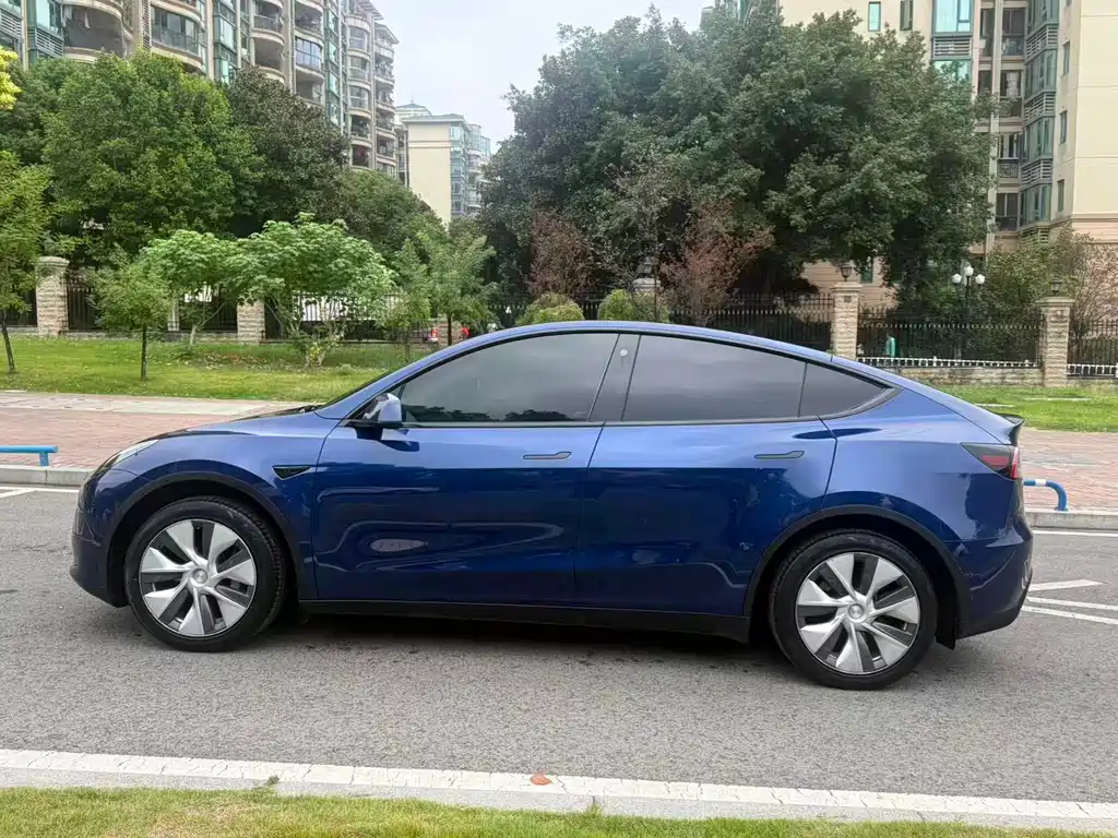Tesla Model Y — миниатюра 4