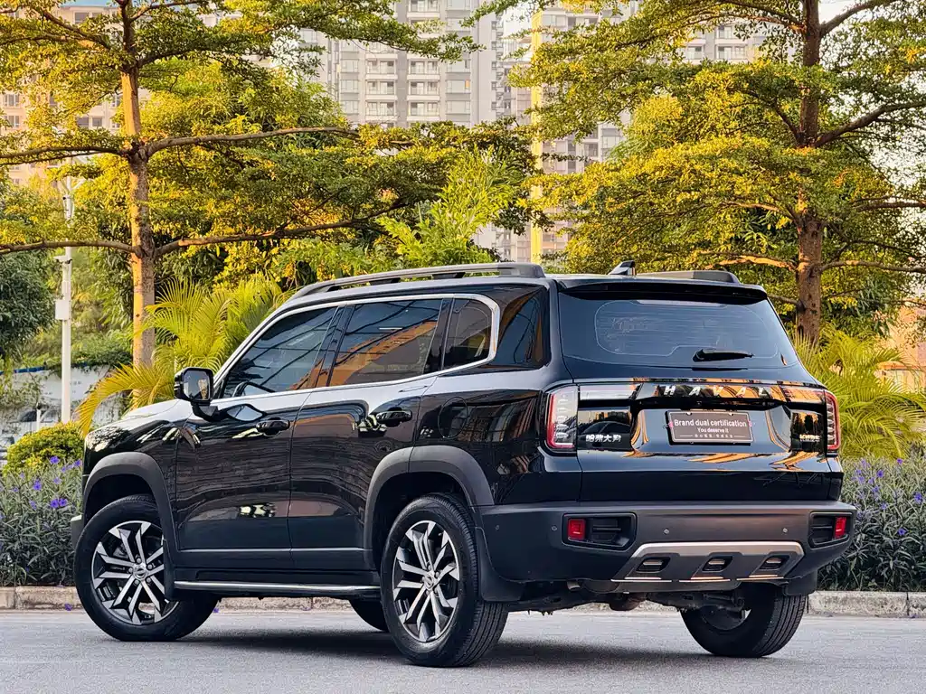 HAVAL BIG DOG