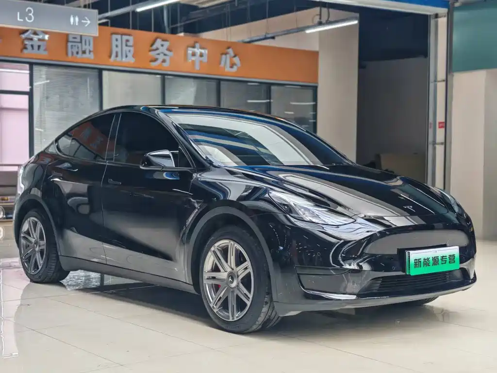 Tesla Model Y — миниатюра 2