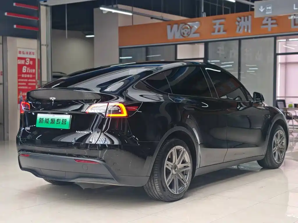 Tesla Model Y — миниатюра 6