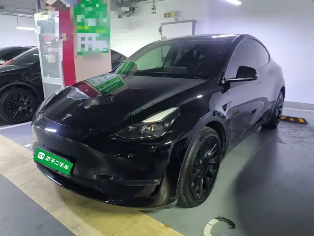Tesla Model Y — миниатюра 2