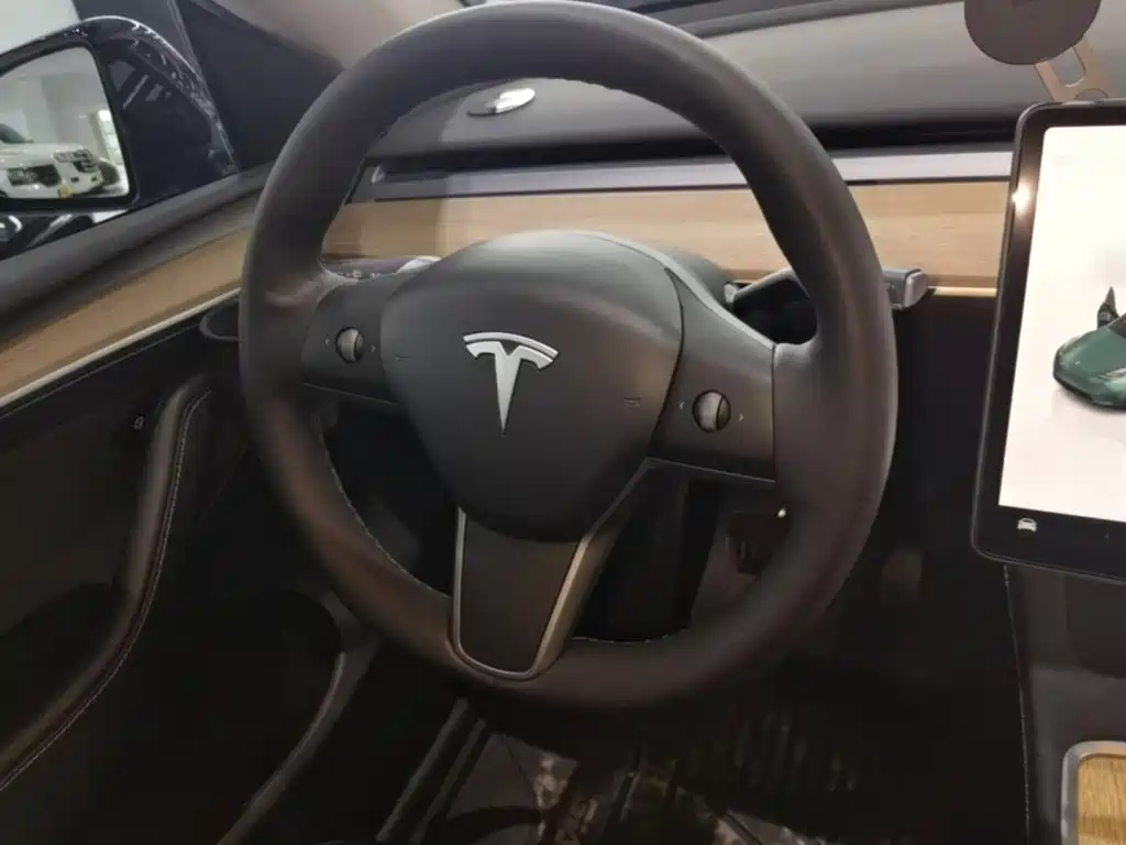 Tesla Model Y — миниатюра 11