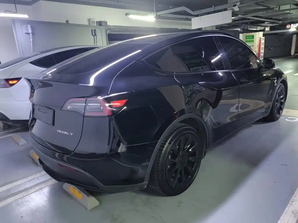 Tesla Model Y — миниатюра 7