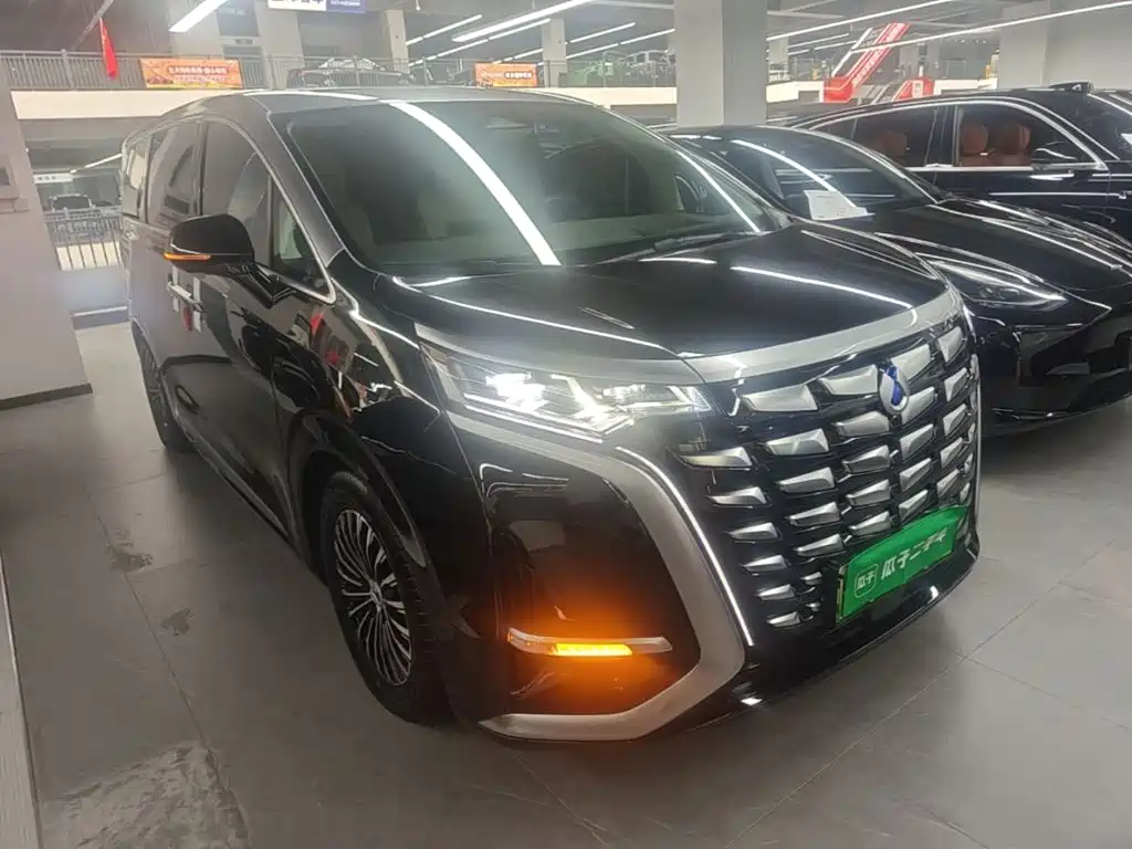 Denza Denza D9 — миниатюра 4