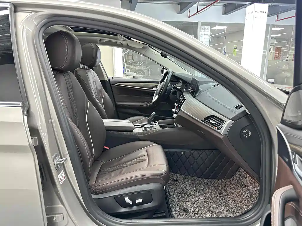 BMW  5 SERIES NEW ENERGY