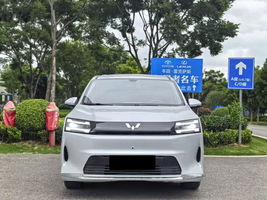 Wuling 730 2025 500km Luxury