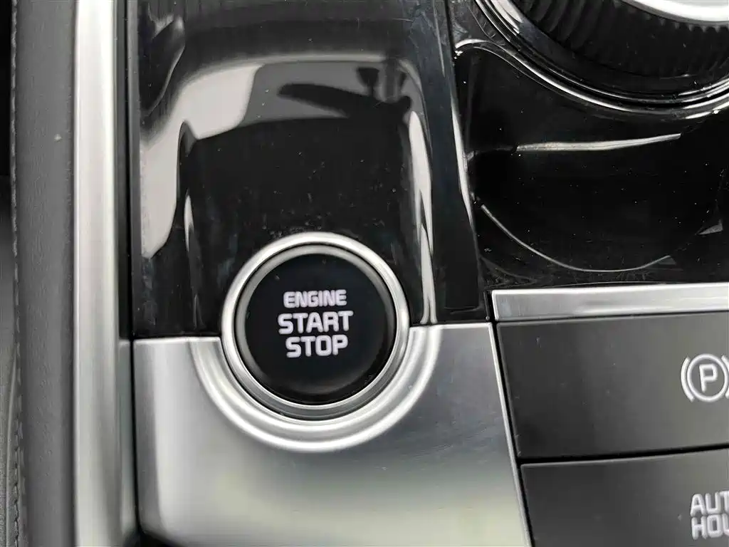 KIA LION PLATINUM EXPANDS THE WORLD