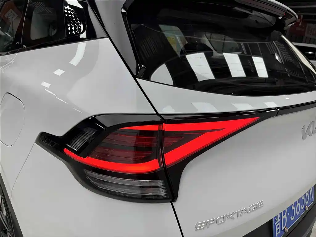 KIA LION PLATINUM EXPANDS THE WORLD