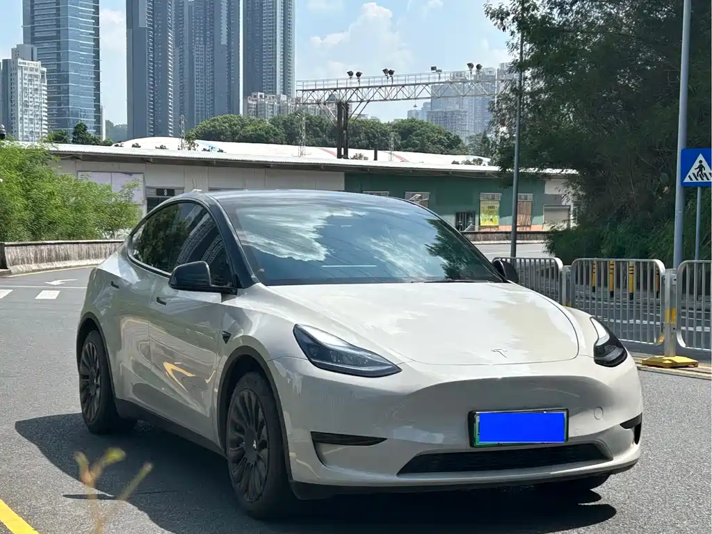 Tesla Model Y — миниатюра 3