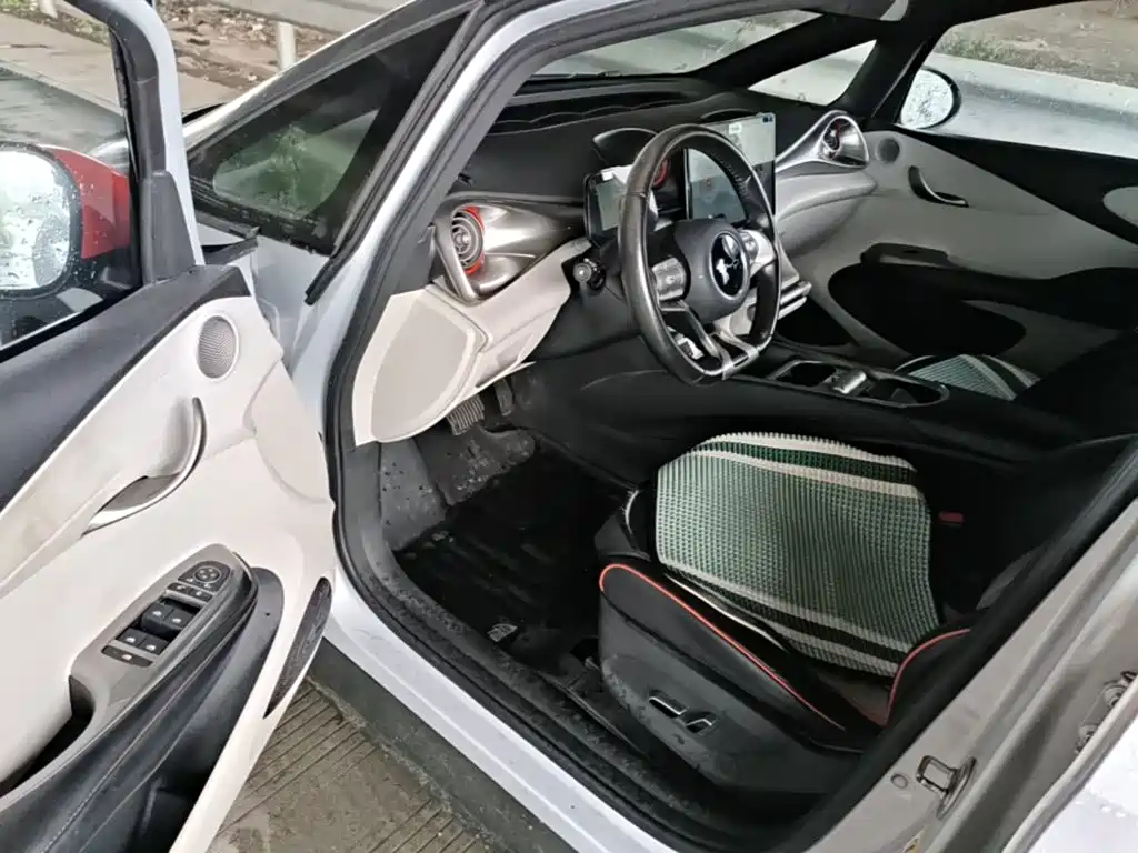 BYD Dolphin — миниатюра 16