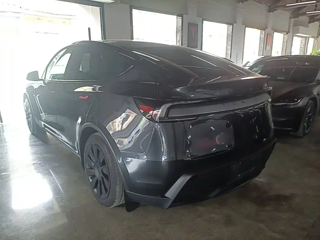 Tesla Model Y — миниатюра 5