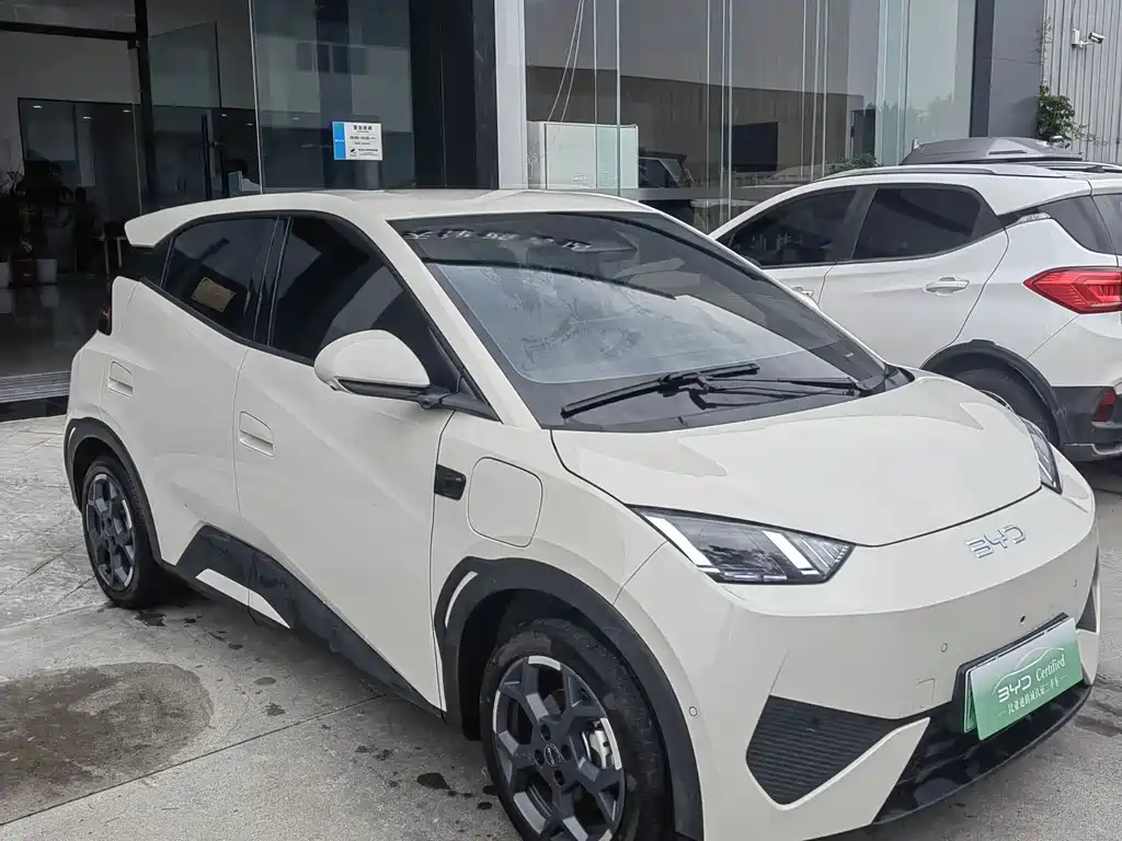 BYD Seagull 2025 405km Flying