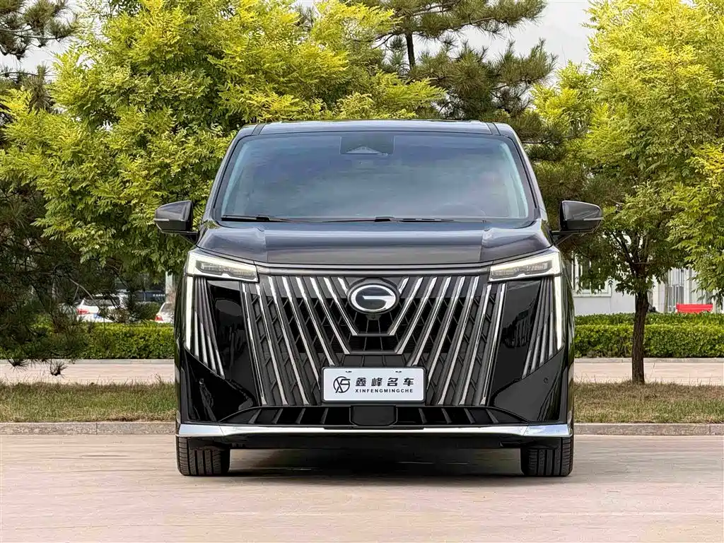 GAC Motor Trumpchi M8 — миниатюра 2