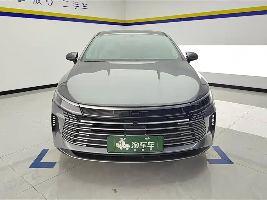 BYD Destroyer 05 2023 Champion DM-i 55KM Luxury