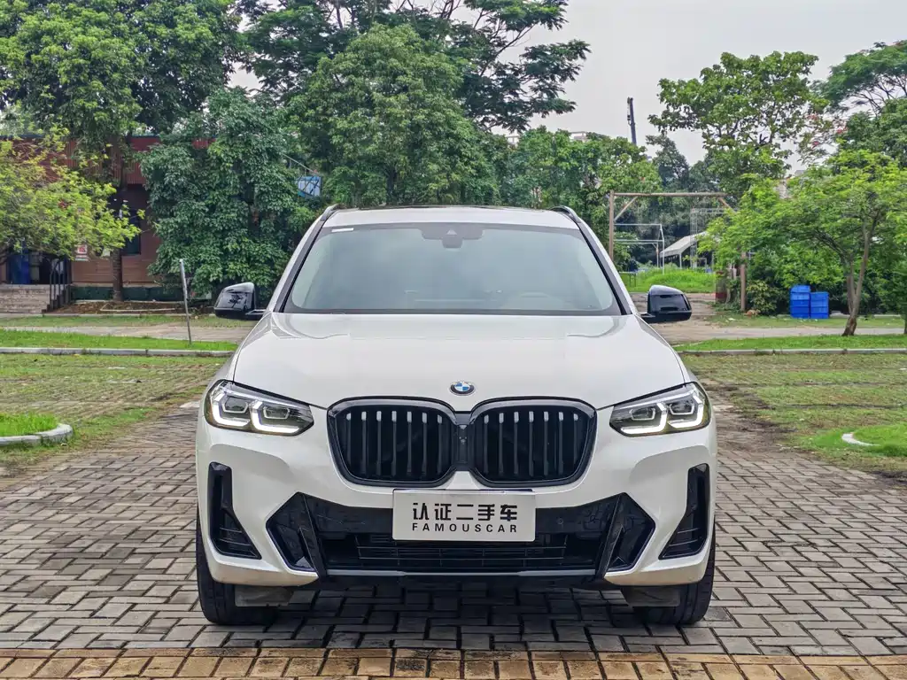 BMW X3 2023 xDrive30i Lead M