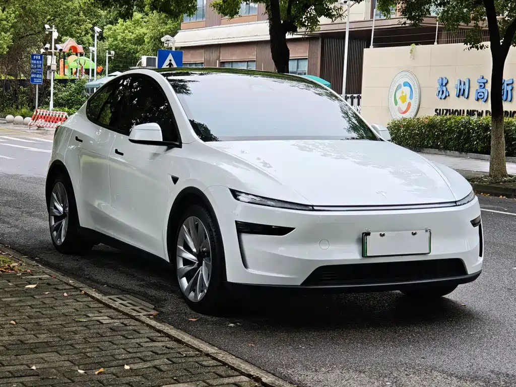 Tesla Model Y — миниатюра 3
