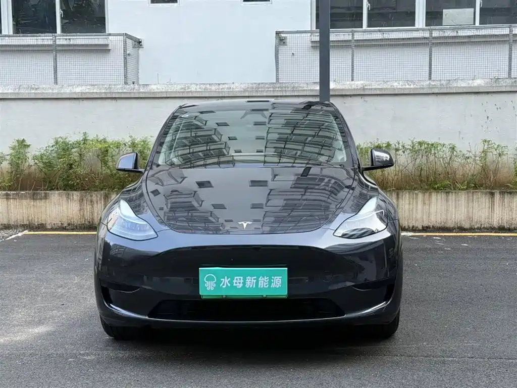 Tesla Model Y — миниатюра 2