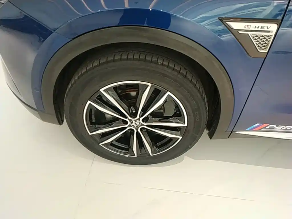 Venucia Star — миниатюра 23