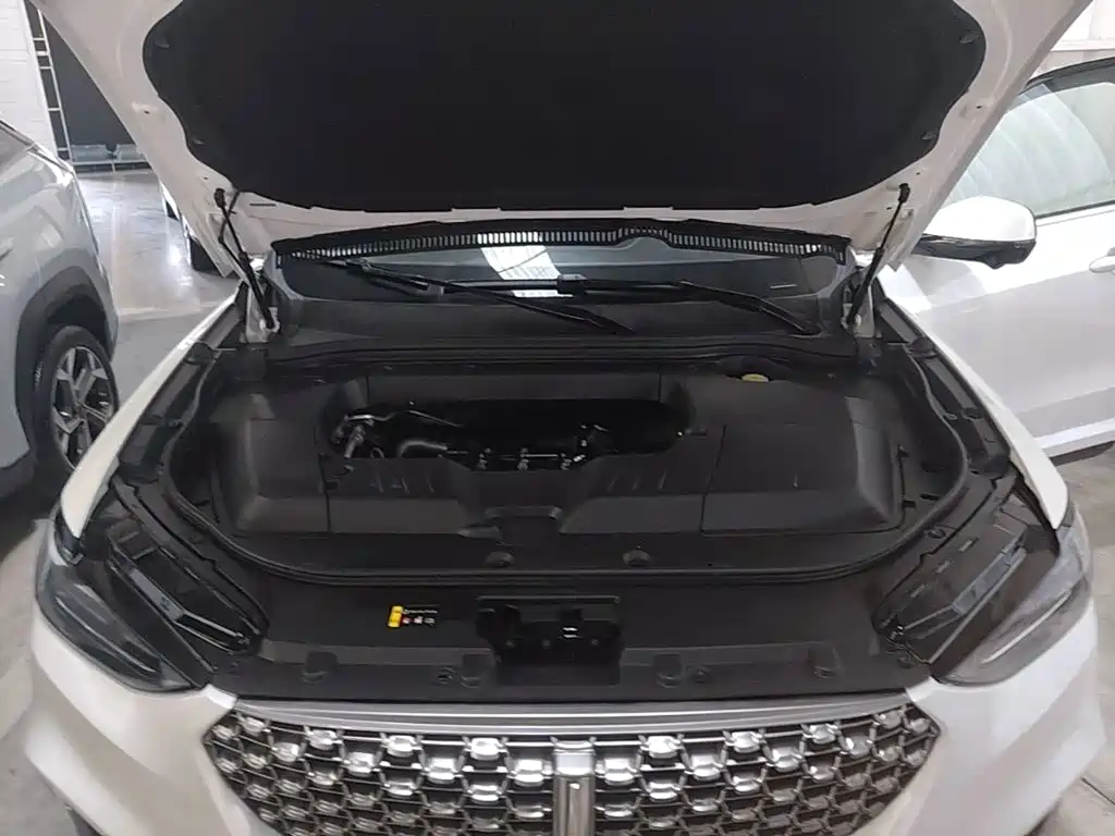 Wey Wey VV6 — миниатюра 20