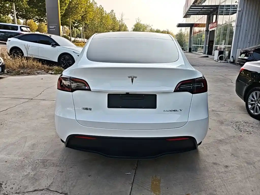 Tesla Model Y — миниатюра 6