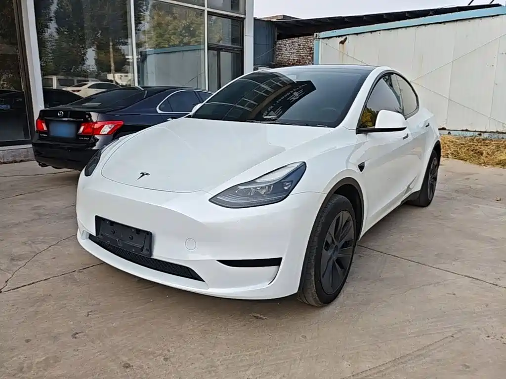 Tesla Model Y — миниатюра 2
