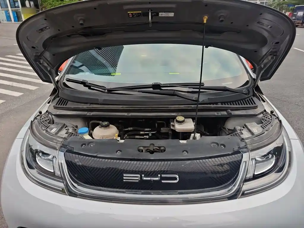 BYD Dolphin — миниатюра 11