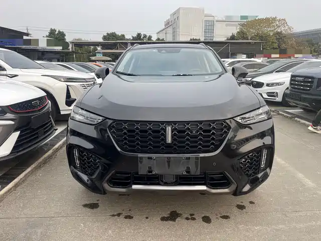 wei-pai wei-brand-vv7