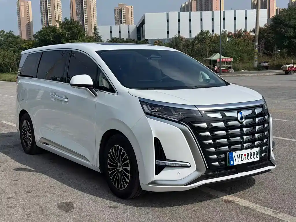 Denza Denza D9 — миниатюра 3
