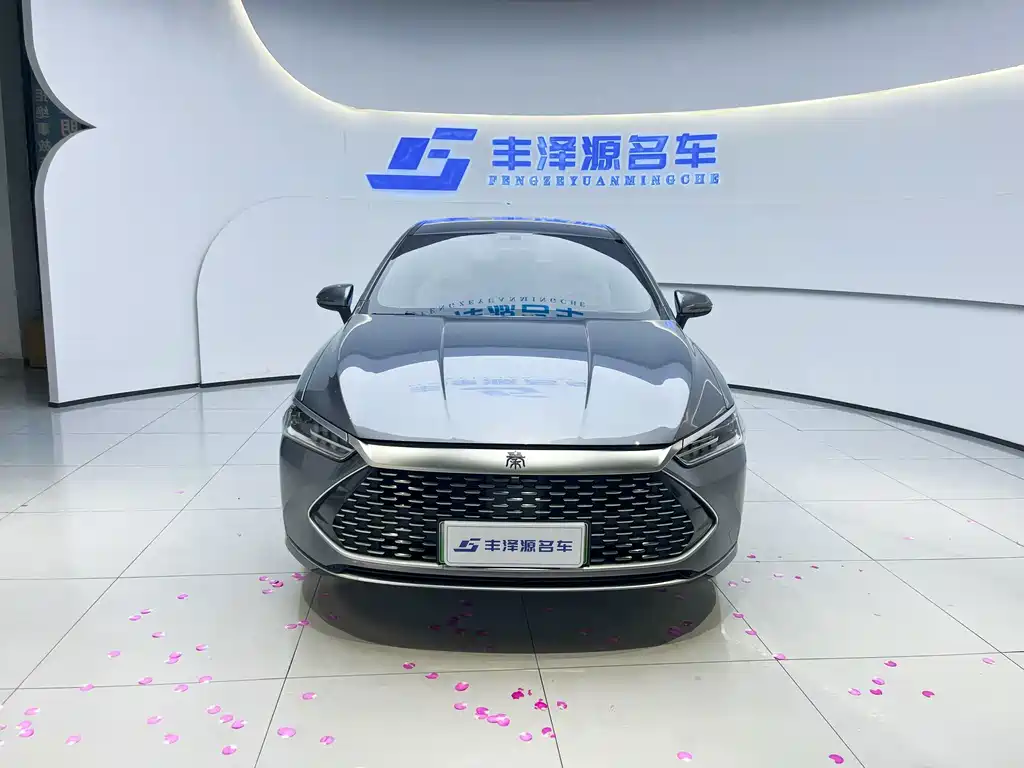 BYD Qin PLUS — миниатюра 2