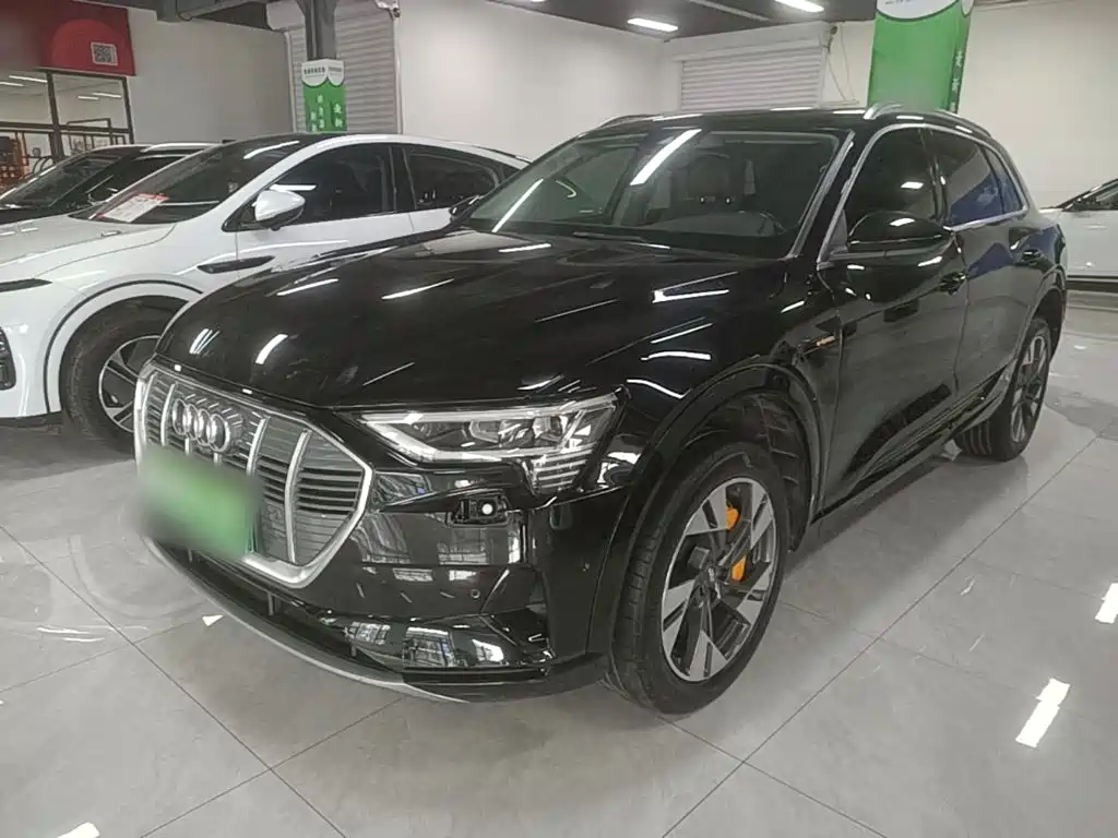 Audi e-tron (Import) — миниатюра 2