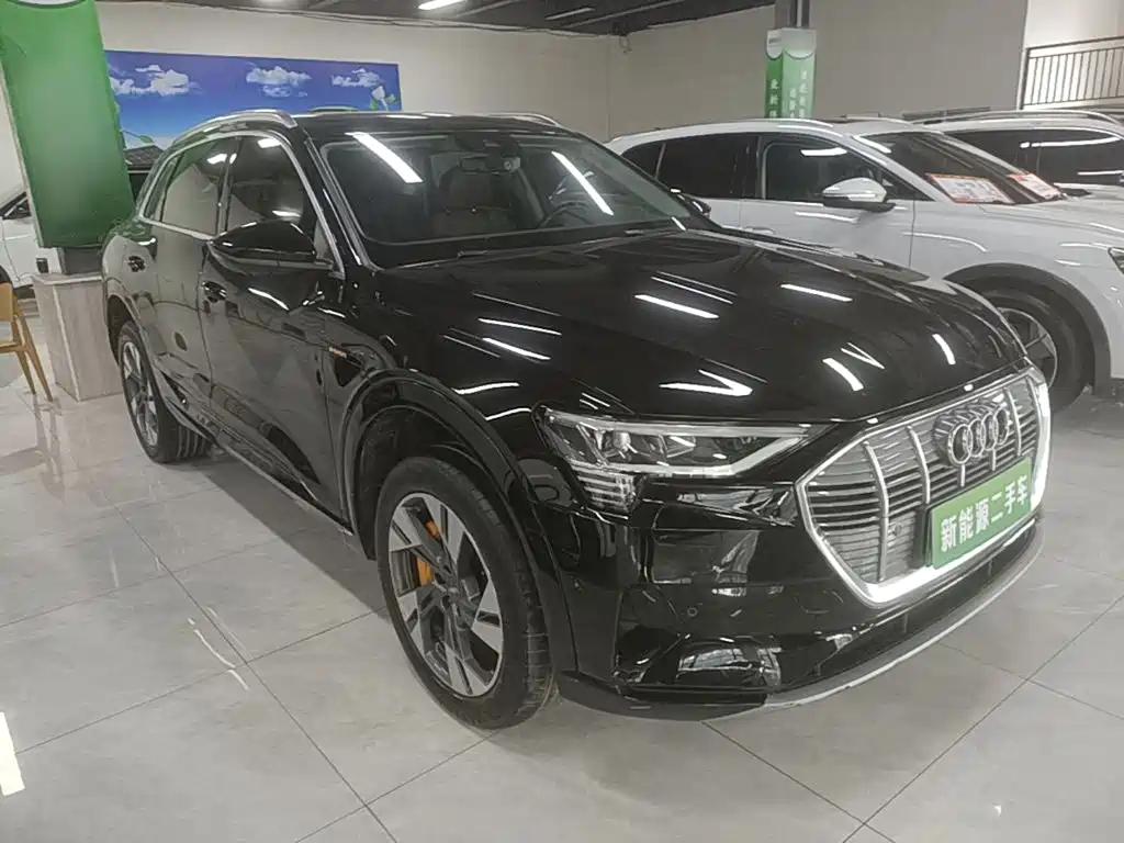 Audi e-tron (Import) — миниатюра 4
