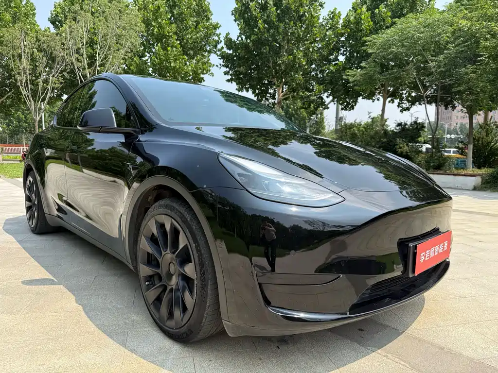 Tesla Model Y — миниатюра 3