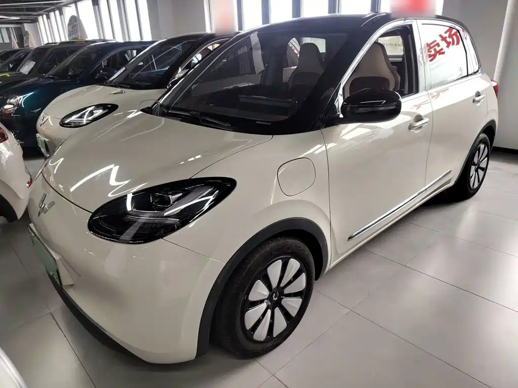 Wuling Binguo 2023 333km Enjoy