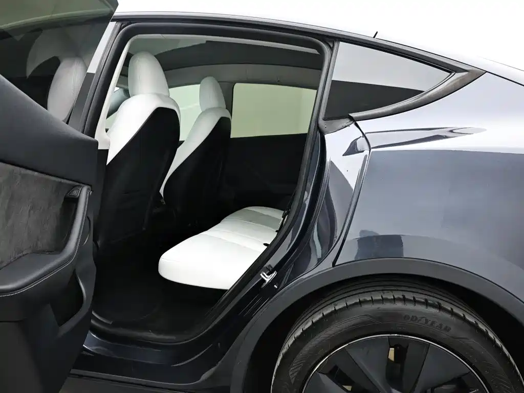 Tesla Model Y — миниатюра 14