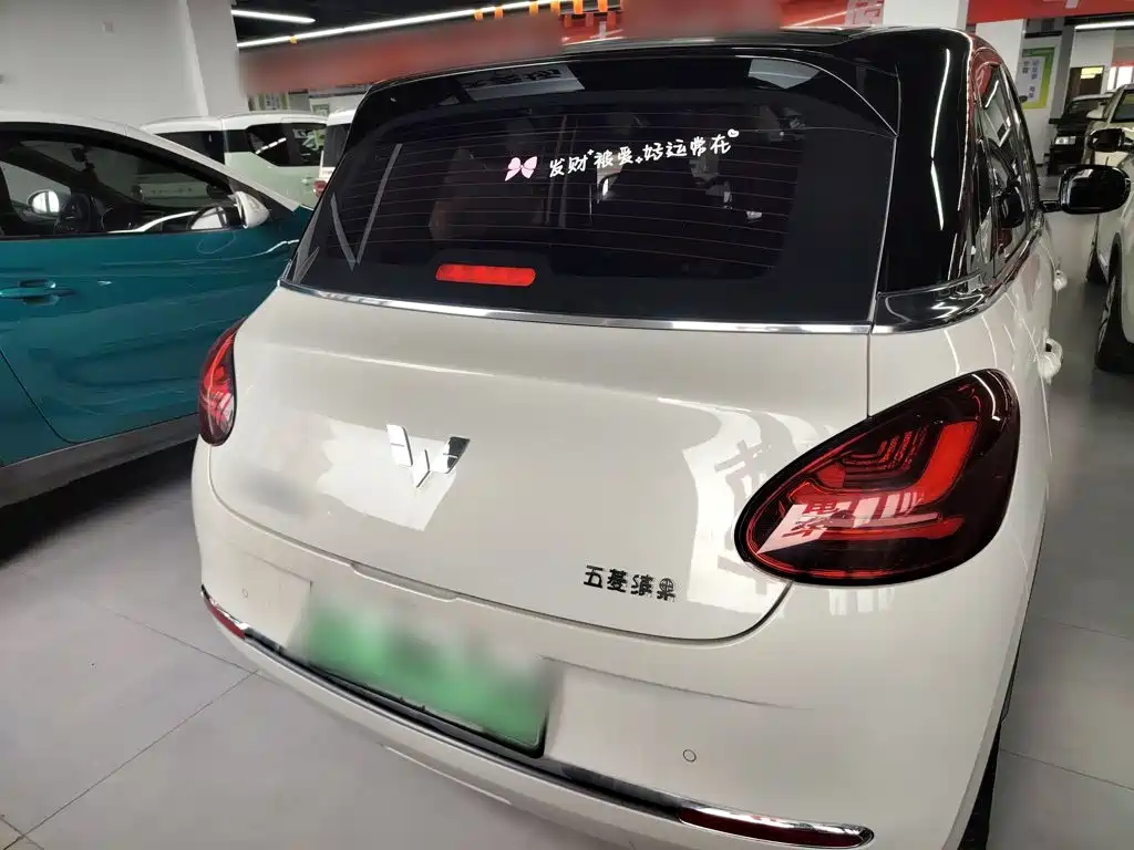 Wuling Binguo 2023 333km Enjoy