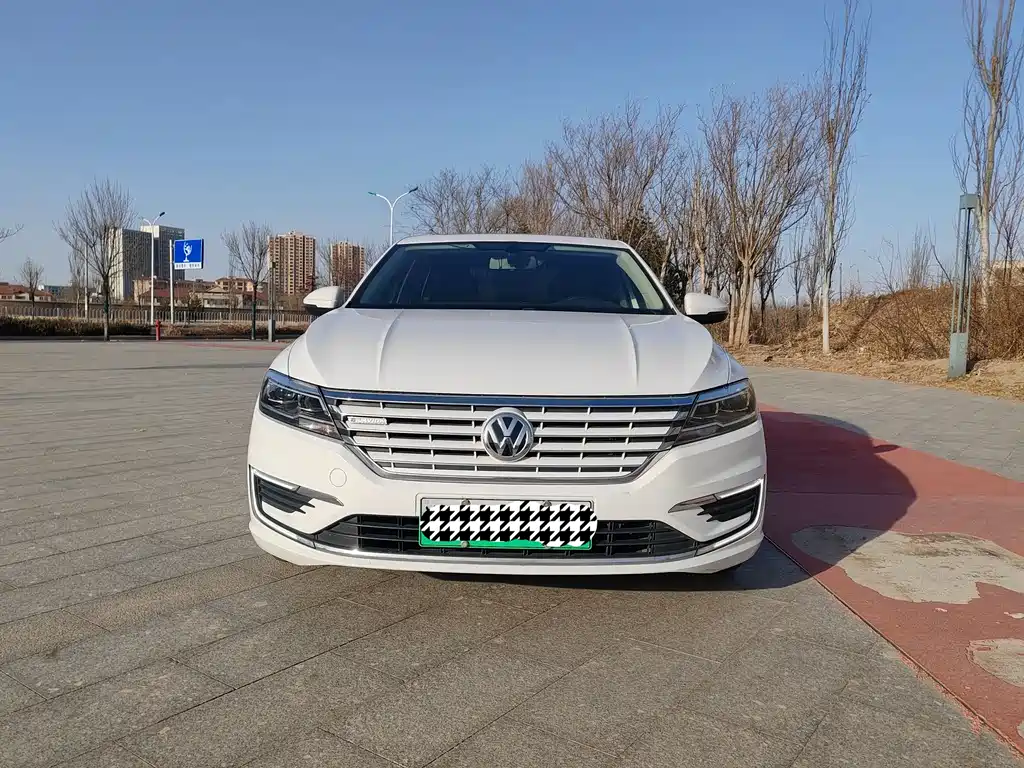 VOLKSWAGEN LAVIDA PURE ELECTRIC