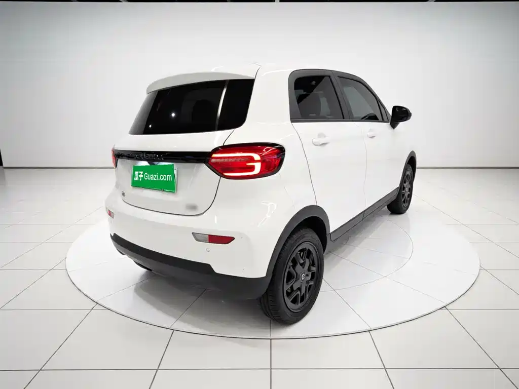 Leapmotor T03 2025 310