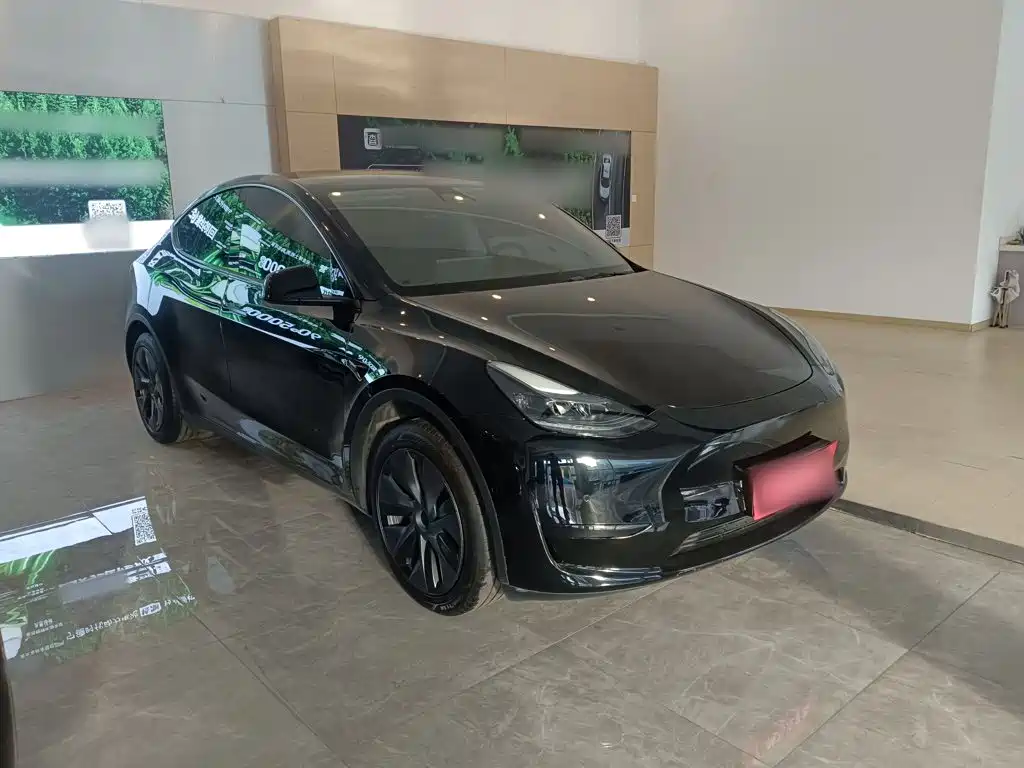Tesla Model Y — миниатюра 4