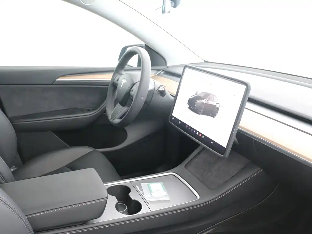 Tesla Model Y — миниатюра 11
