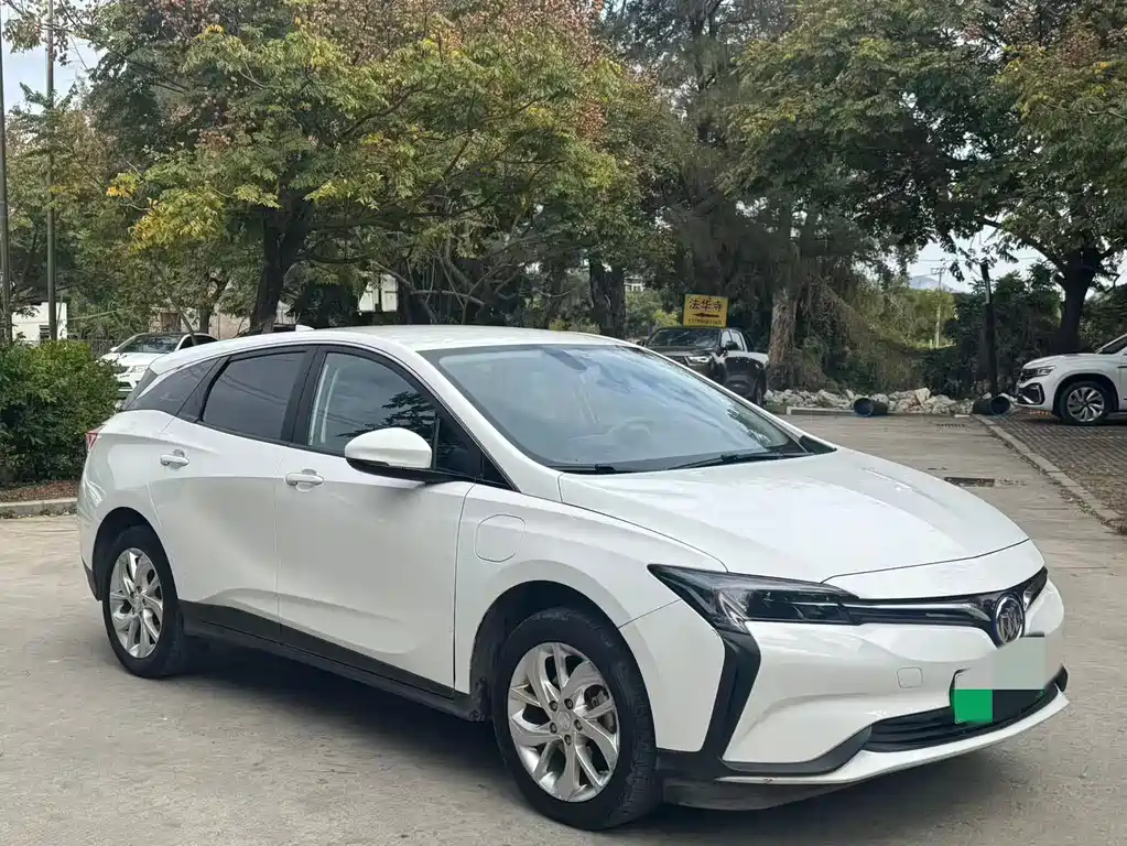 BUICK SLIGHTLY BLUE 6