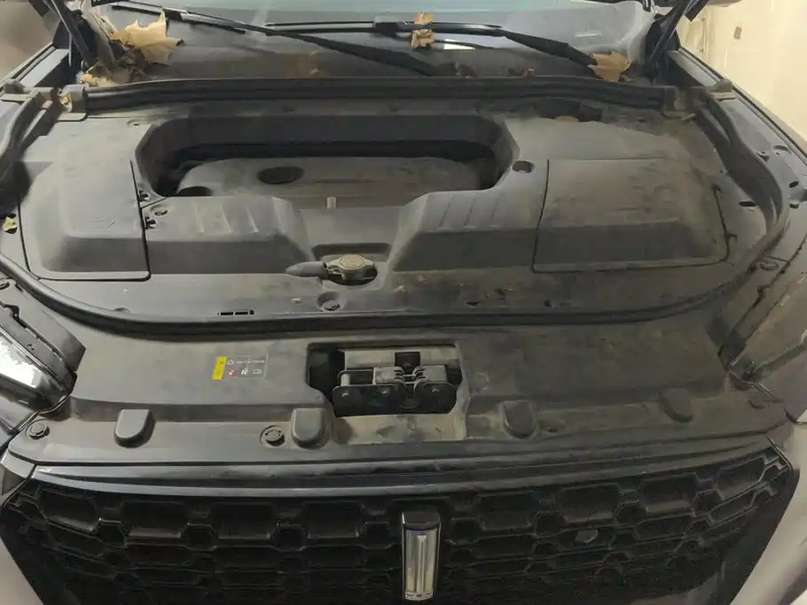 Wey Wey VV6 — миниатюра 10