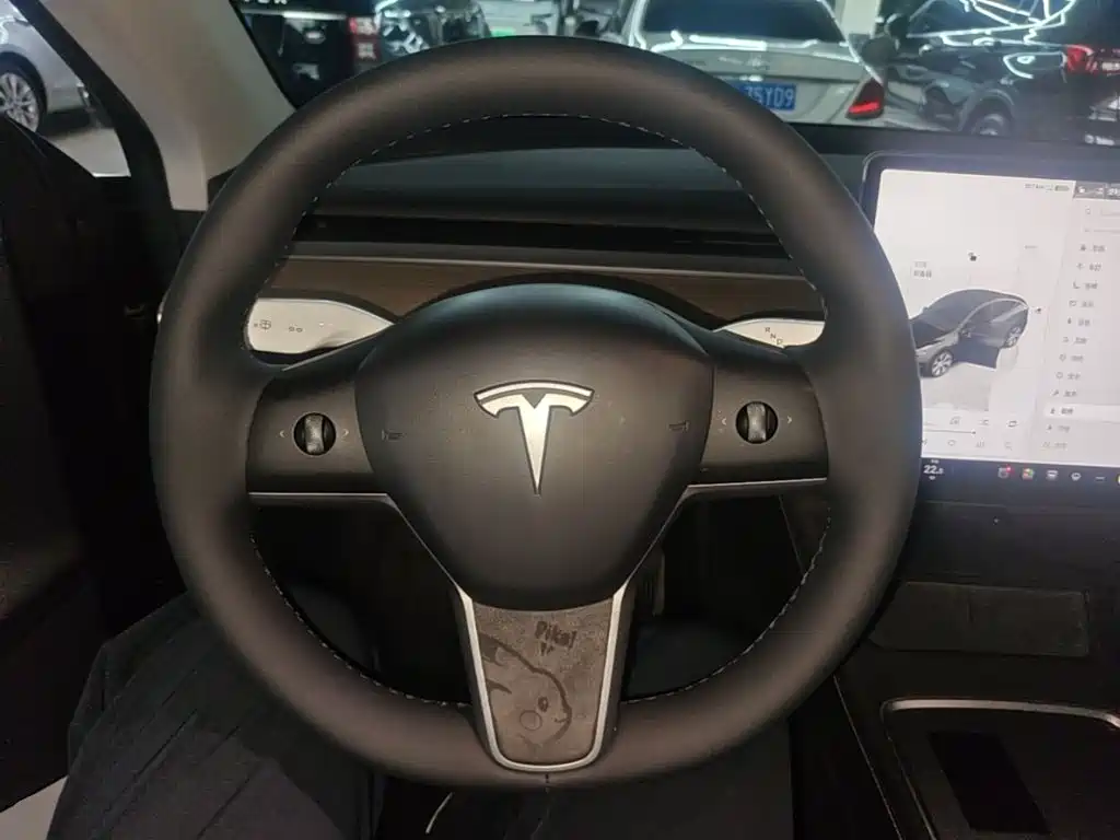 Tesla Model Y — миниатюра 11