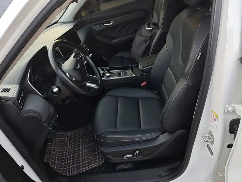 Haval Chitu — миниатюра 15