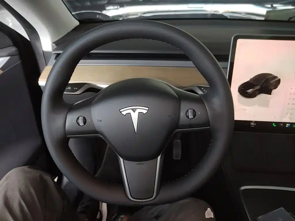 Tesla Model Y — миниатюра 11