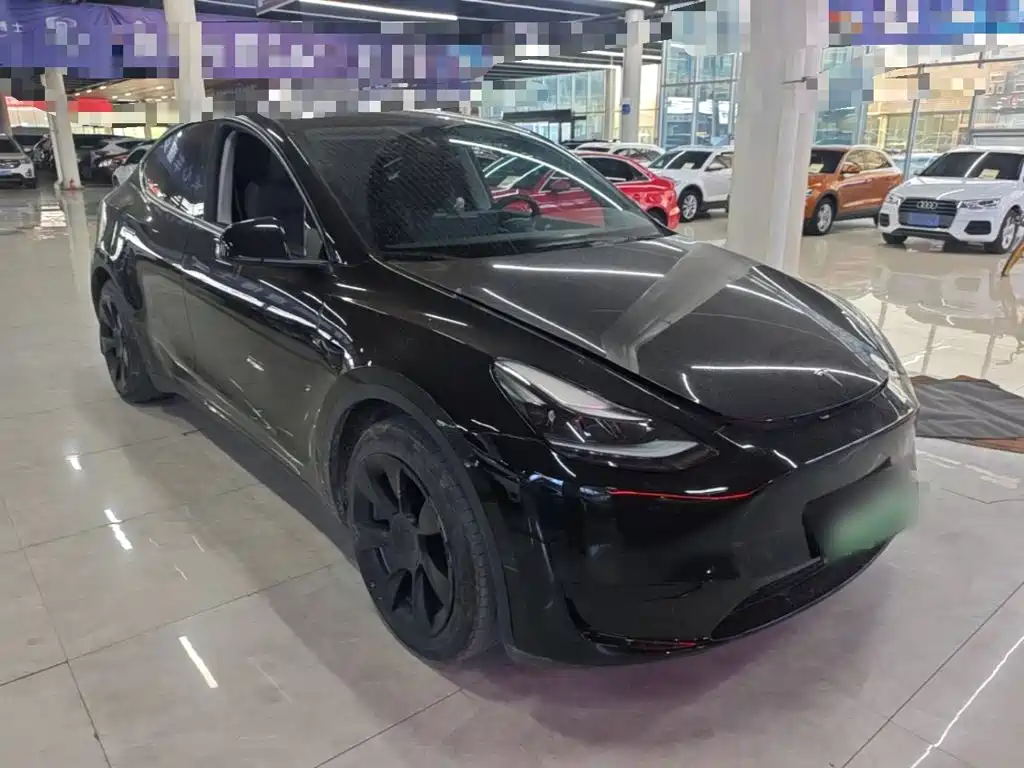 Tesla Model Y — миниатюра 4